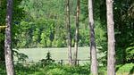 house - Ferienwohnung für 4 Personen (55 m²) in Feistritz im Rosental - Top-Hundeurlaub