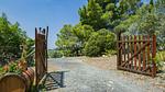 exterior - Ferienhaus für 5 Personen (74 m²) in Riparbella (PI) - Top-Hundeurlaub