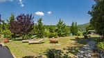 exterior - Ferienhaus für 5 Personen (74 m²) in Riparbella (PI) - Top-Hundeurlaub