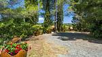 exterior - Ferienhaus für 5 Personen (74 m²) in Riparbella (PI) - Top-Hundeurlaub