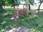 Landleben mit Hühnern und Schafen - Fewo Zur Windmühle - Top-Hundeurlaub