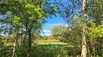 outside - Ferienhaus für 4 Personen (70 m²) in Gilleleje - Top-Hundeurlaub