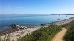 beach - Ferienhaus für 4 Personen (70 m²) in Gilleleje - Top-Hundeurlaub