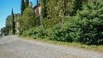 house - Ferienwohnung für 5 Personen (100 m²) - Top-Hundeurlaub