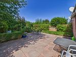 Gartenblick - Ferienhaus Passat - Top-Hundeurlaub