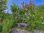 Gartenblick - Ferienhaus Passat - Top-Hundeurlaub