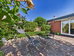 Gartenblick - Ferienhaus Passat - Top-Hundeurlaub