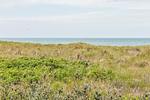 Strand - Drei Akazien Wohnung 4 - Top-Hundeurlaub