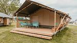ExteriorSummer - Ferienhaus für 5 Personen in Kesteren - Top-Hundeurlaub