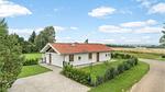 house - Ferienhaus für 6 Personen (120 m²) in Bogø By - Top-Hundeurlaub