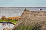 hundefreundliche Ferienwohnung mit Wasserblick 2-4 Personen - Top-Hundeurlaub