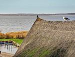 hundefreundliche Ferienwohnung mit Wasserblick - 2 Personen  - Top-Hundeurlaub