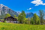 Gebäudeansicht im Sommer - Bergidyll 6 by Alpenidyll Apartments - Top-Hundeurlaub