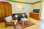 Wohnzimmer mit Schlafsofa und Fernseher - Soldanella 8 by Alpenidyll Apartments - Top-Hundeurlaub