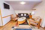 Wohnzimmer, Schlafsofa und Fernseher - City Life 1 by Alpenidyll Apartments - Top-Hundeurlaub