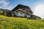 Hauptansicht Gebäude im Sommer - Huberhof 2 by Alpenidyll Apartments - Top-Hundeurlaub