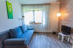 Schlafsofa mit Fernseher - Huberhof 2 by Alpenidyll Apartments - Top-Hundeurlaub