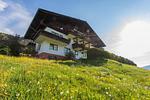 Hauptansicht Gebäude im Sommer - Huberhof 8 by Alpenidyll Apartments - Top-Hundeurlaub