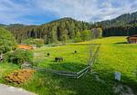 Aussicht in die Berge - Huberhof 8 by Alpenidyll Apartments - Top-Hundeurlaub