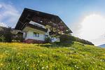 Hauptansicht Gebäude im Sommer - Huberhof 9 by Alpenidyll Apartments - Top-Hundeurlaub