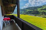 Aussicht in die Berge - Huberhof 9 by Alpenidyll Apartments - Top-Hundeurlaub