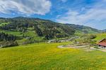 Aussicht in die Berge - Huberhof 9 by Alpenidyll Apartments - Top-Hundeurlaub