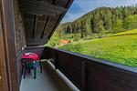 Aussicht in die Berge - Huberhof 11 by Alpenidyll Apartments - Top-Hundeurlaub