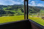 Aussicht in die Berge - Huberhof 6 by Alpenidyll Apartments - Top-Hundeurlaub