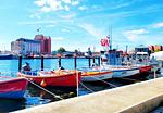 Appartement direkt im Hafen von Neustadt in Holstein an der Ostsee - Charmantes Appartement am Hafen mit gratis Bettwäsche-Paket und Terrasse - Top-Hundeurlaub