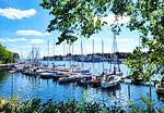 Blick auf die Segelboote auf dem Weg zum Strand - Romantische Ferienwohnung am Hafen mit gratis Bettwäsche-Paket und Terrasse - Top-Hundeurlaub