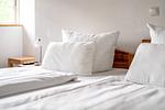 Hotel Bolter Mühle - DZ Rapskammer - Top-Hundeurlaub