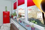 Wohnzimmer - Ferienwohnung Bansin - Top-Hundeurlaub