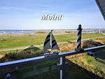 Ferienhaus "Seeschwalbe" Marina Wendtorf - Top-Hundeurlaub