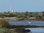 Landschaft - Ferienhaus "Seeschwalbe" Marina Wendtorf - Top-Hundeurlaub