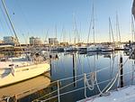 Nachbarschaft - Ferienwohnung „Seemannsgarn“ Marina Wendtorf - Top-Hundeurlaub