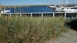 Strand - Ferienwohnung „Seemannsgarn“ Marina Wendtorf - Top-Hundeurlaub