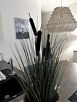 Dekoratives Detail - 49.0.S Waterkant - Top-Hundeurlaub