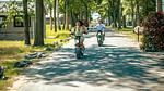 ParkFacilities - Ferienhaus für 7 Personen (70 m²) in Kampen (Overijssel) - Top-Hundeurlaub
