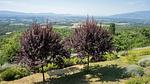 view-from-room - Ferienwohnung für 5 Personen (110 m²) - Top-Hundeurlaub