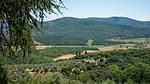 view-from-room - Ferienwohnung für 5 Personen (110 m²) - Top-Hundeurlaub