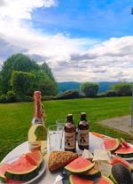 Terrasse - Appartement Waldsonne - Top-Hundeurlaub