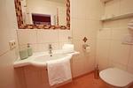 Badezimmer mit WC und Dusche - Apart 13 by Alpenidyll Apartments - Top-Hundeurlaub