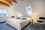 Hafen-Harmonie - Top-Hundeurlaub