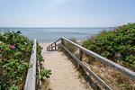 Strand - Strandwärts - Top-Hundeurlaub