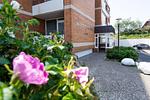 Fassade / Eingang - Strandwärts - Top-Hundeurlaub