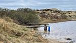 WaterView - Ferienhaus für 7 Personen (66 m²) in Oksbøl - Top-Hundeurlaub