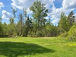Großer Naturgarten in Alleinlage am See in Småland - Hus Kråksmåla - Top-Hundeurlaub