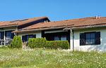 Hauptansicht - Haus 99 - Top-Hundeurlaub