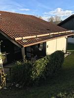Fassade / Eingang - Haus 116 - Top-Hundeurlaub
