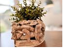 Dekoratives Detail - Wohnung 02 - Top-Hundeurlaub